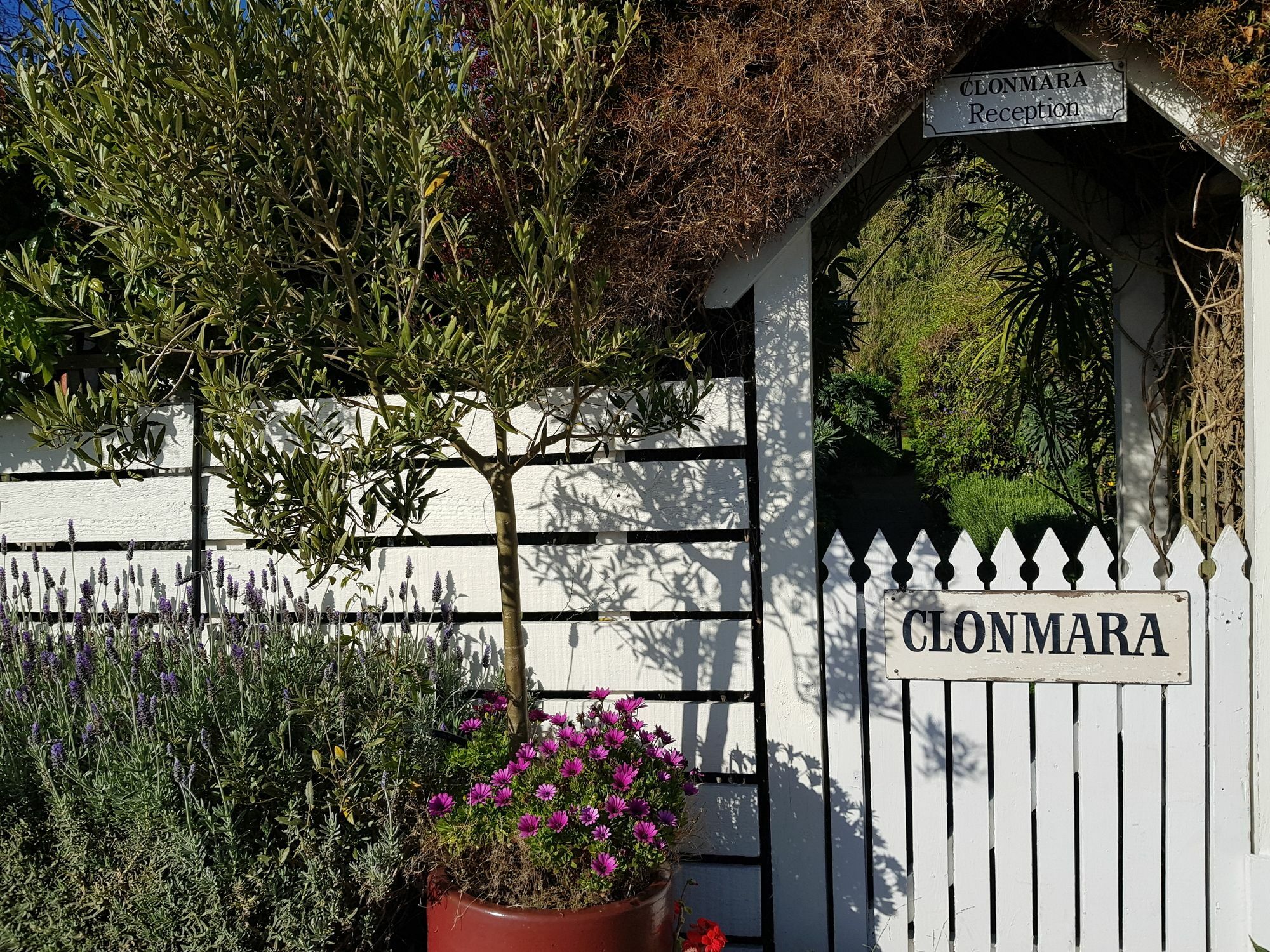 Clonmara Country House And Cottages Порт-Фейри Экстерьер фото